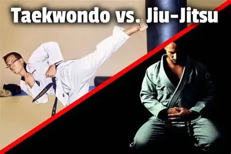 Taekwondo VS Jiu-Jitsu