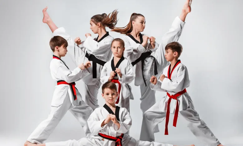 differents types of Martial Arts Types and categories