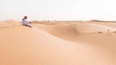 Things to do in UAE