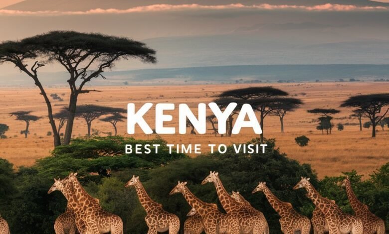 The Best Time to Visit Kenya: Exploring Nature's Bounty