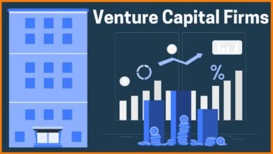 Venture Capital Consulting Firms